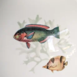 Grand Tour by Vito Nesta Amami Amphora Vaso in porcellana con pesci tropicali H27Cm><noscript><img width=