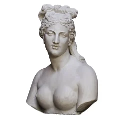 Galleria Romanelli Busto di Venere Capitolina> Sculture Decorative