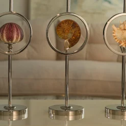 Petri Firenze Candeliere con riccio di mare> Candelieri E Portacandele