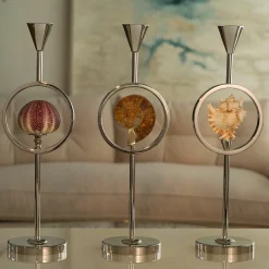 Petri Firenze Candeliere in ammonite> Candelieri E Portacandele