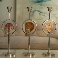 Petri Firenze Candeliere Seashell> Candelieri E Portacandele