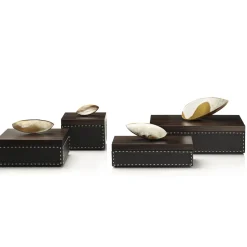 Arcahorn CAPRICIA box #8><noscript><img width=