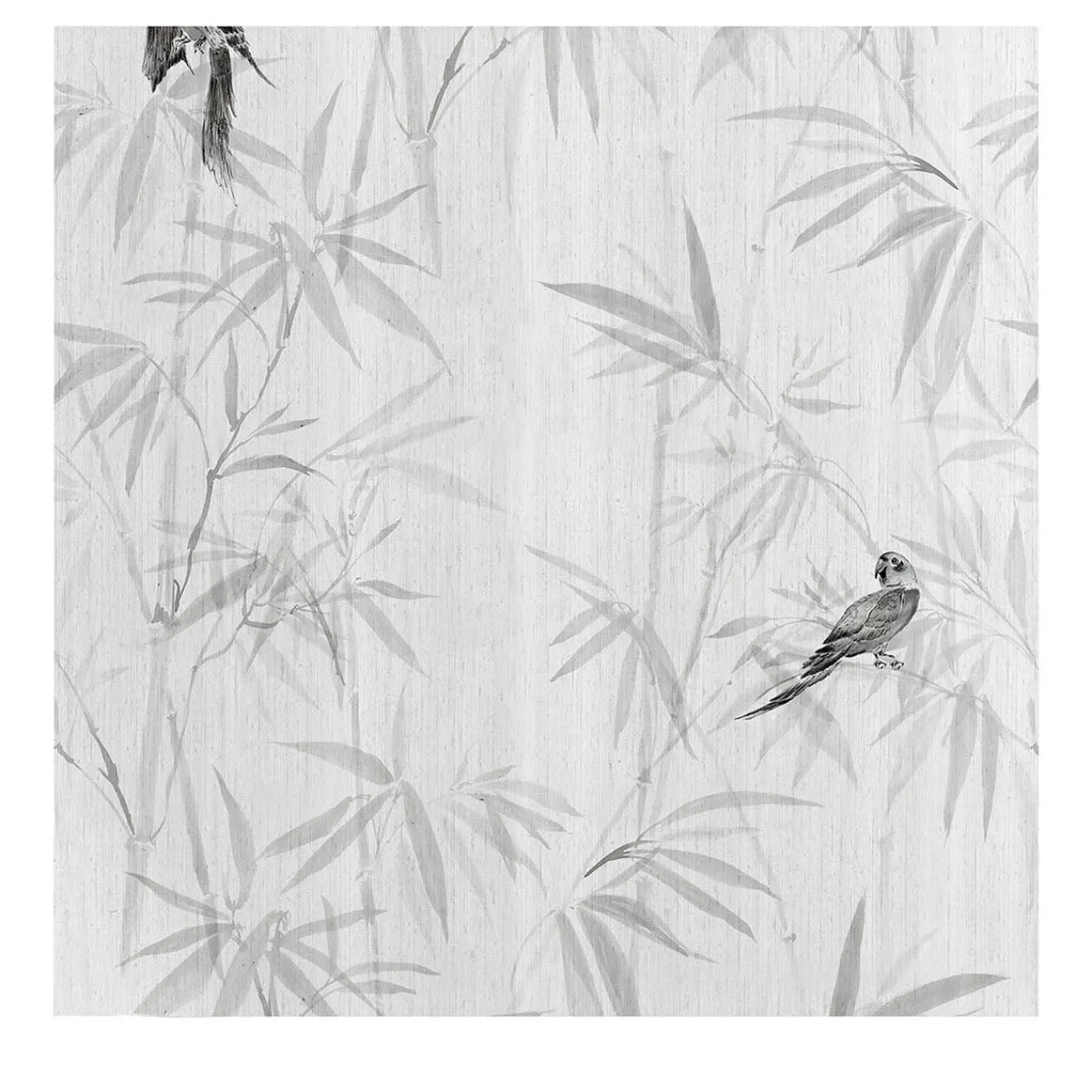 Wallpapers4Beginners Carta da Parati Estetica Japandi con Bambù> Carte Da Parati