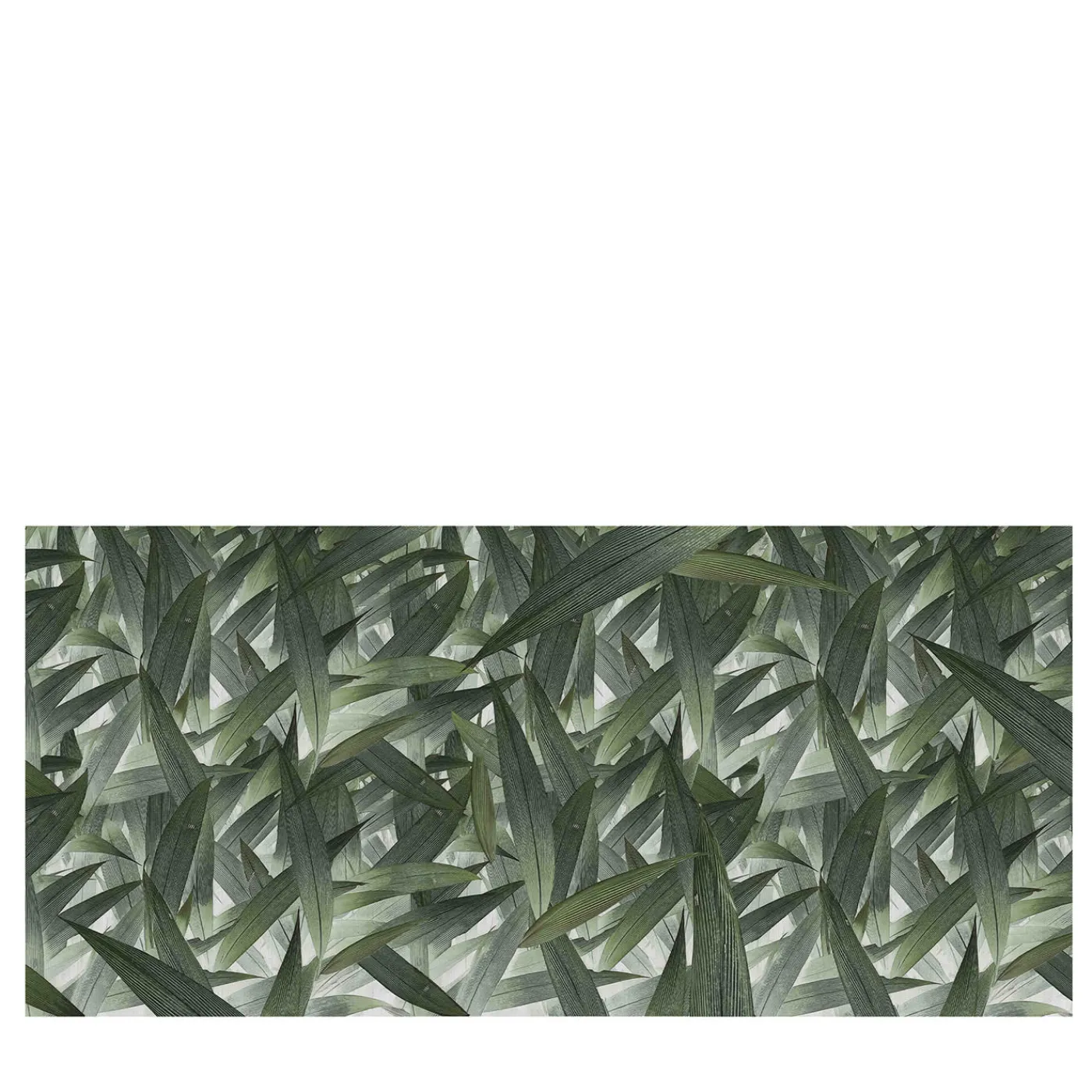 Now Edizioni Carta da parati Foliage> Carte Da Parati