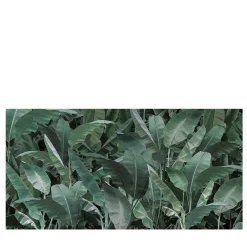 Now Edizioni Carta da parati Thai Banano> Carte Da Parati