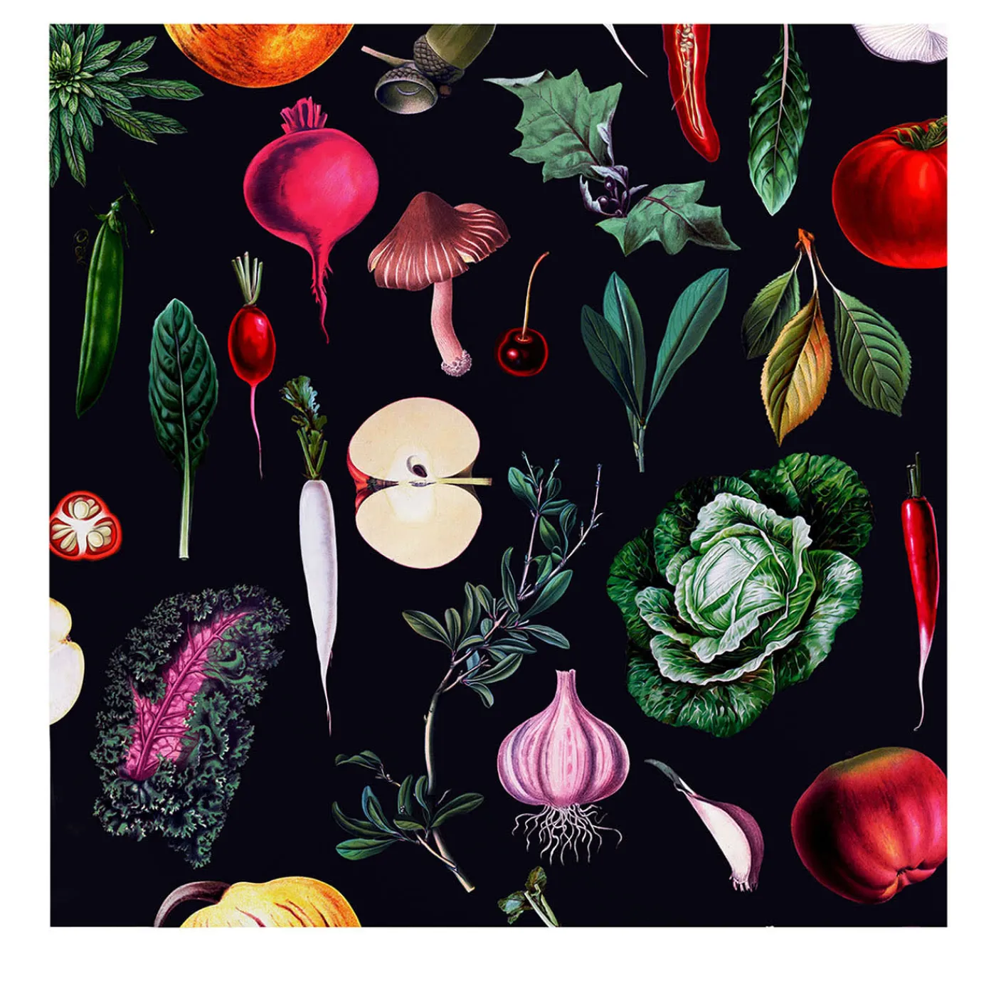 Wallpapers4Beginners Carta da Parati Vintage Nera con Verdure per Cucina> Carte Da Parati