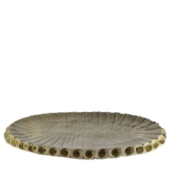 Creazioni di Andrea Serra Centrotavola Fossil 2/20> Centrotavola