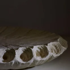 Creazioni di Andrea Serra Centrotavola Fossil 2/20><noscript><img width=