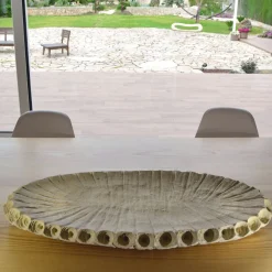 Creazioni di Andrea Serra Centrotavola Fossil 2/20><noscript><img width=