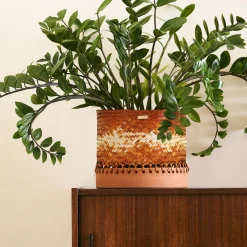 Stilleben Cestino con sfumature arancioni><noscript><img width=