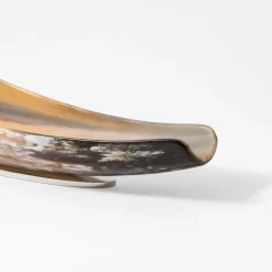 Zanchi 1952 Ciotola di corno> Svuotatasche