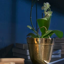 Zanetto Coccio Cachepot><noscript><img width=