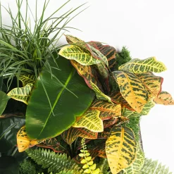 VGnewtrend Composizione verde verticale per interni Hana><noscript><img width=