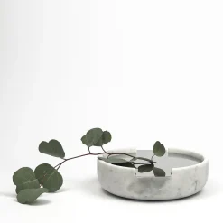 Gumdesign Contenitore remoto Connessioni #2> Scatole