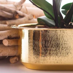 Zanetto Davanzale Window Box><noscript><img width=