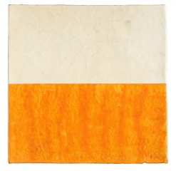 Studio Le Nid Dejavu Ficus Indica Set di 25 piastrelle Find.9> Piastrelle E Pavimenti