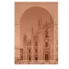 Belvedere Finestre Tessili Pink Tapestry #2> Pannelli Decorativi