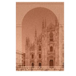 Belvedere Finestre Tessili Pink Tapestry #2> Pannelli Decorativi