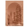 Belvedere Finestre Tessili Pink Tapestry #3> Pannelli Decorativi