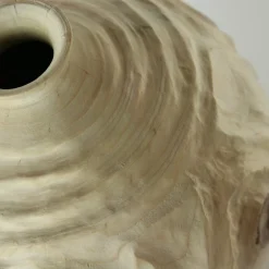 Nicola Tessari Groove FTG Vaso di araucaria in stile coreano><noscript><img width=