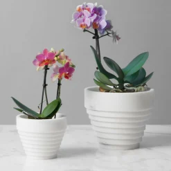 MMairo Guggenheim Piccolo vaso bianco Michelangelo di Michele Chiossi><noscript><img width=