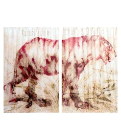 Barbara Petrecca Il Grande Felino Tende> Pannelli Decorativi