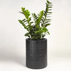 Splot Design Juncus Black Cachepot><noscript><img width=