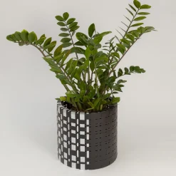 Splot Design Lux Trabem Cachepot nero><noscript><img width=