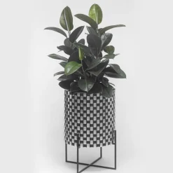 Splot Design Nexum Optical 30 Nero Cachepot><noscript><img width=