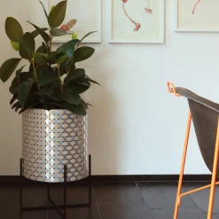 Splot Design Nexum Optical 30 Oro Cachepot><noscript><img width=