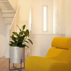 Splot Design Nexum Optical 30 Oro Cachepot><noscript><img width=