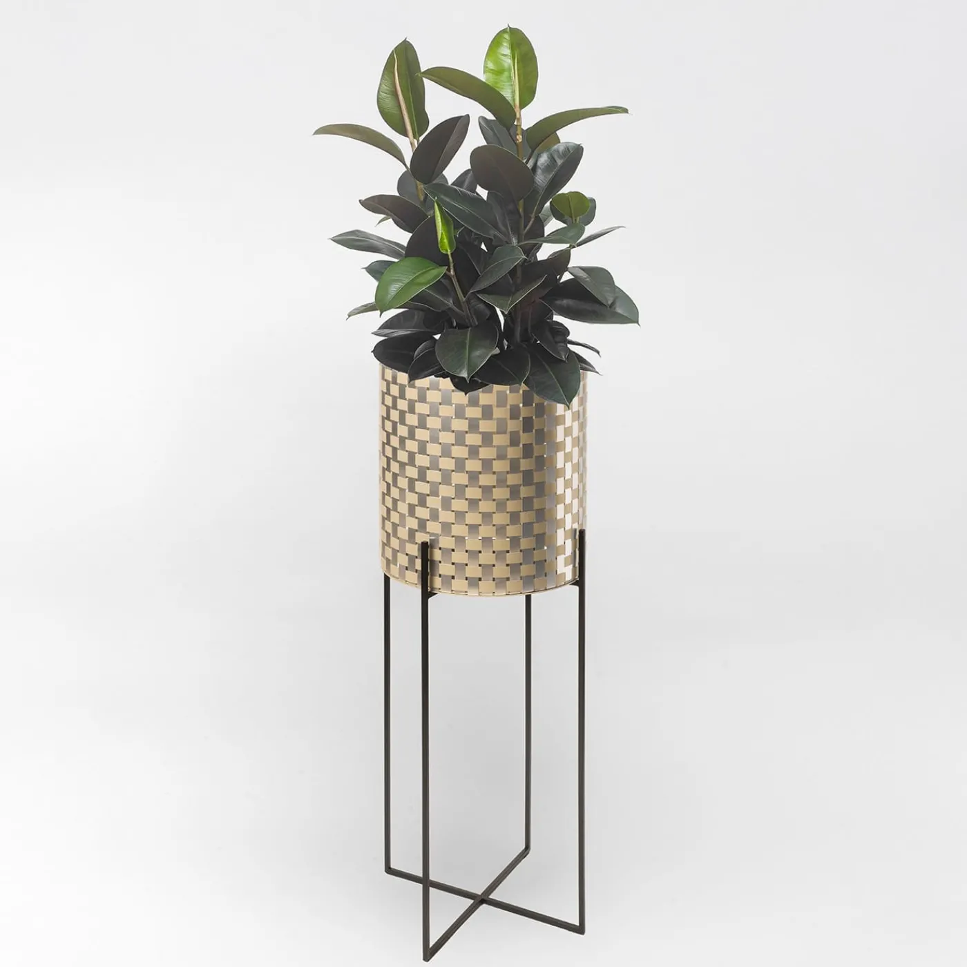 Splot Design Nexum Ottico 80 Oro Chachepot> Cachepot E Portavasi