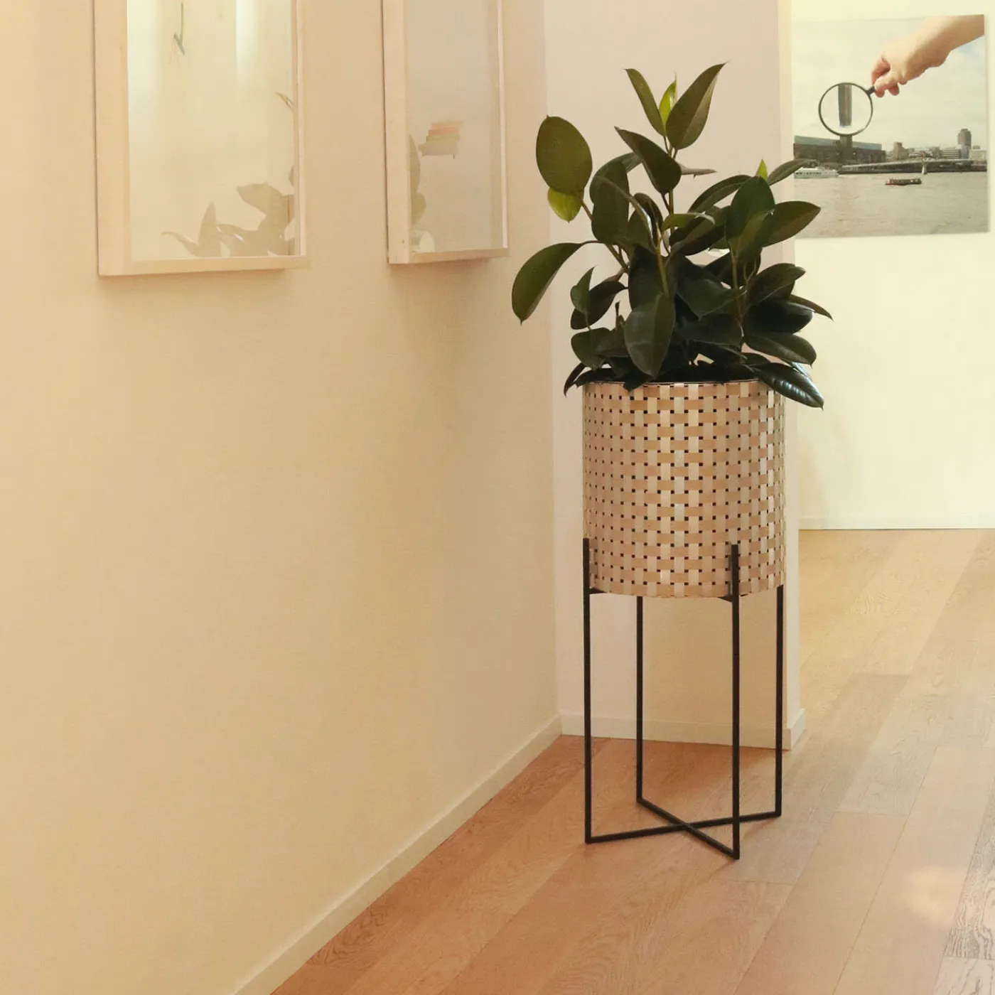 Splot Design Nexum Ottico 60 Oro Chachepot> Cachepot E Portavasi