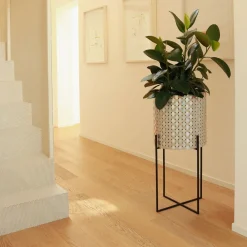 Splot Design Nexum Ottico 60 Oro Chachepot><noscript><img width=