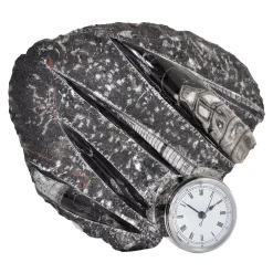 Design Center 1991 Orologio scultura Nautilo di Nino Basso> Orologi