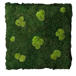 VGnewtrend Pannello interno Flatmoss e Polemoss> Sculture Da Parete