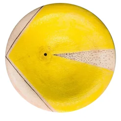 Pierfrancesco Solimene Piastra a muro gialla> Piatti Decorativi