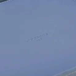 Foglizzo 1921 Picasso Cielo Blu Svuotatasche Medio><noscript><img width=