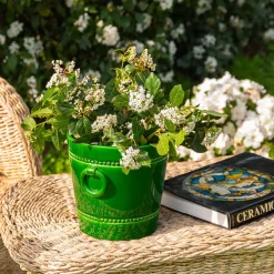 Romarin Portavaso decorativo Seau À Glace verde><noscript><img width=