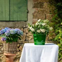 Romarin Portavaso decorativo Seau À Glace verde><noscript><img width=