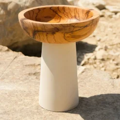 Pimar Limestone Rito N. 2 B Coppa Decorativa in Legno d'Ulivo e Pietra Leccese> Cachepot E Portavasi