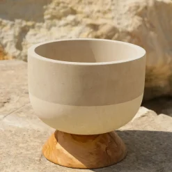 Pimar Limestone Rito N. 3 B Coppa Decorativa in Legno d'Ulivo e Pietra Leccese> Cachepot E Portavasi