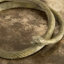 Mario Bottiglieri Scatola Piccola Serpens><noscript><img width=