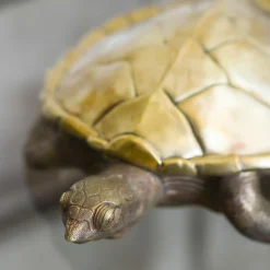 Molto Collectibles Scatola Tartaruga in Ottone><noscript><img width=