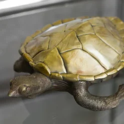 Molto Collectibles Scatola Tartaruga in Ottone><noscript><img width=