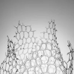 Simone Crestani Scultura Coral in Vetro #2><noscript><img width=