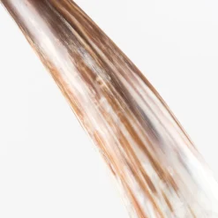 Selezioni Domus Scultura Decorativa in Corno di Bufalo><noscript><img width=