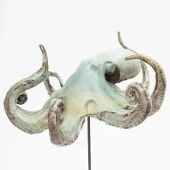 Amaaro Scultura di polpo><noscript><img width=