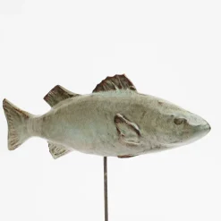 Amaaro Scultura di spigola bianca grassa><noscript><img width=