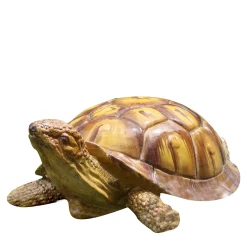 Ceramiche Ceccarelli Scultura di tartaruga gigante> Statuine